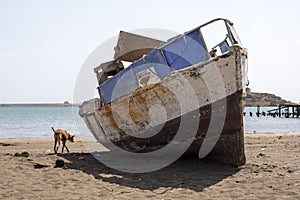 Stray dog Ã¢â¬â¹Ã¢â¬â¹walks next to an old crooked fishing boat, on the city beach of Praia, island of Santiago, Cape Verde, Cabo Verde